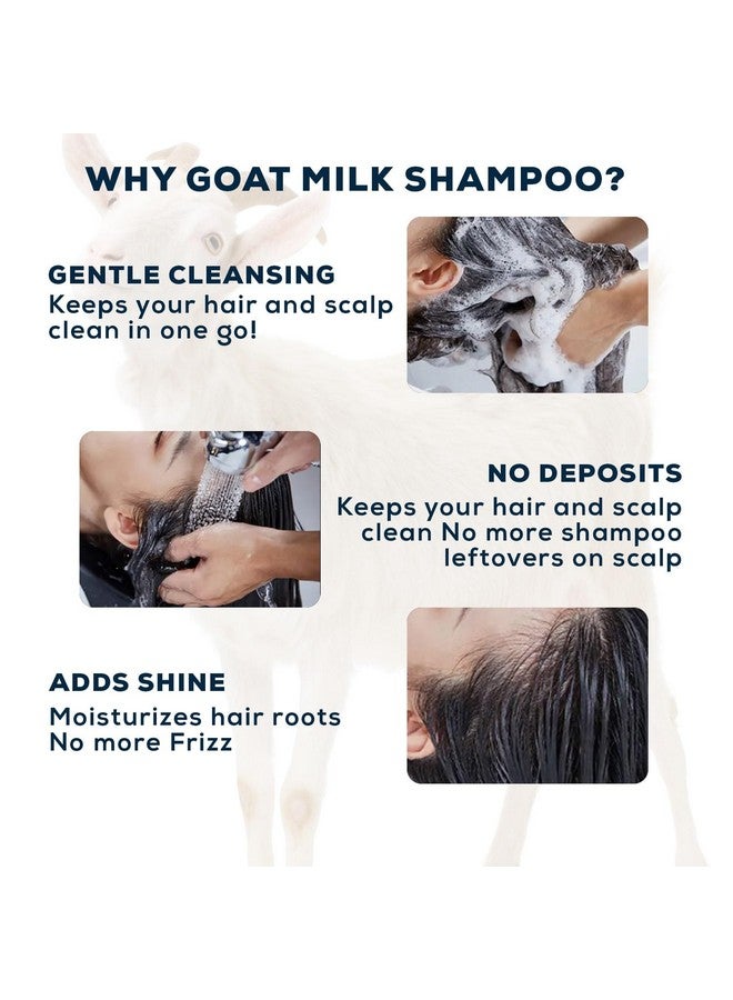 VCare شامبو حليب الماعز VCare | مناسب لجميع أنواع الشعر يغذي الشعر الجاف والتالف | يحتفظ بالنتائج لفترة طويلة | خالي من المواد الكيميائية القاسية | 200 مل - Image 4