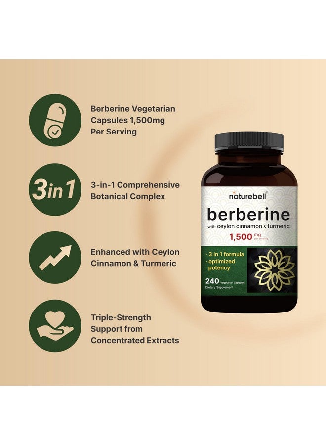 NatureBell مكمل بيربرين 1500 ملغ، 240 كبسولة نباتية | بالإضافة إلى 1000 ملغ قرفة سيلان الحقيقية و 300 ملغ جذر الكركم - 97% بيربرين HCL - نباتي، نباتي، غير معدل وراثيًا - Image 3