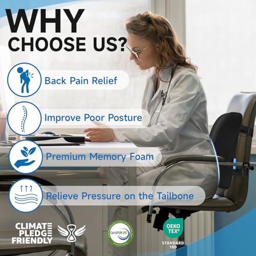 QUTOOL وسادة دعم أسفل الظهر لكرسي المكتب، أساسيات غرفة النوم الجامعية، رغوة الذاكرة، دعم أسفل الظهر للسيارة، تخفيف آلام الظهر، وسادة ظهر للكرسي مع حزام قابل للتعديل وغلاف شبكي قابل للغسل - Image 5