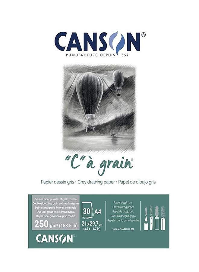 CANSON Art Book C a grain-Ochre greyA4-250G