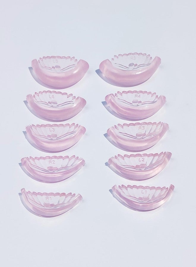 Libeauty Lash Lift Rads 10 Pcs/5 Sizes New Shell Shape Lash Lift Pods Reusable Silicon Lash Lift Shields DIY Use at Home or Salon Lash Lift Tools - Image 2