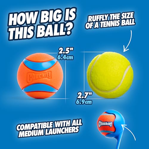 Chuckit! Ultra Ball Dog Toy - Medium Bouncy Fetch Balls For Dogs 20-60 lbs - Made from Durable Rubber - Floating Water Pet Toys - Size Medium - 2.5-inch Diameter - Pack of 4 - Image 2