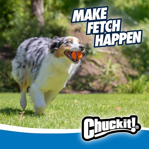 Chuckit! Ultra Ball Dog Toy - Medium Bouncy Fetch Balls For Dogs 20-60 lbs - Made from Durable Rubber - Floating Water Pet Toys - Size Medium - 2.5-inch Diameter - Pack of 4 - Image 5