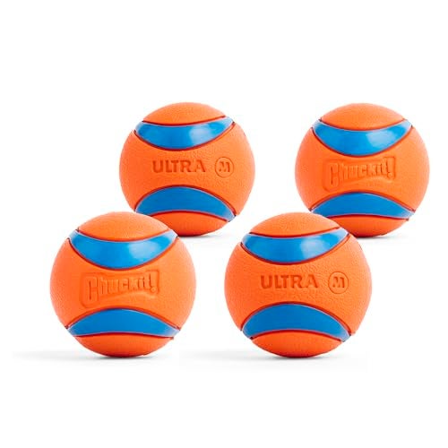 Chuckit! Ultra Ball Dog Toy - Medium Bouncy Fetch Balls For Dogs 20-60 lbs - Made from Durable Rubber - Floating Water Pet Toys - Size Medium - 2.5-inch Diameter - Pack of 4 - Image 1