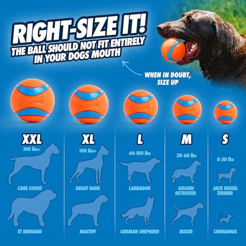 Chuckit! Ultra Ball Dog Toy - Medium Bouncy Fetch Balls For Dogs 20-60 lbs - Made from Durable Rubber - Floating Water Pet Toys - Size Medium - 2.5-inch Diameter - Pack of 4 - Image 3