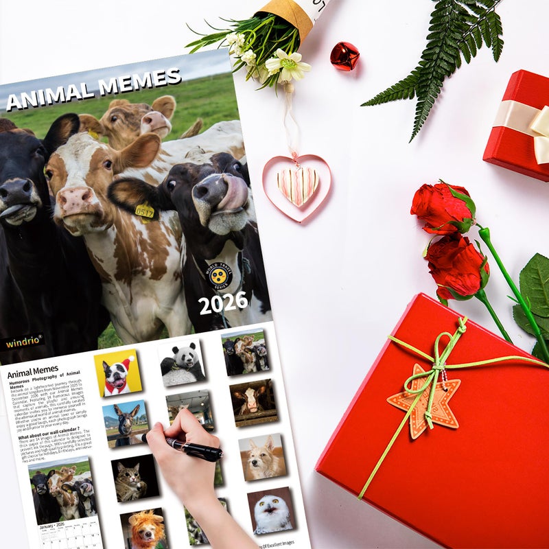 windrio 2026 Wall Calendar,Funny Calendar 2026, November 2025 - December 2026, Wall Calendar Funny Animal Memes, 12" x 24" Opened, Full Page 12 Months Thick Paper for Gift Calendar Organizing Planning - Image 5