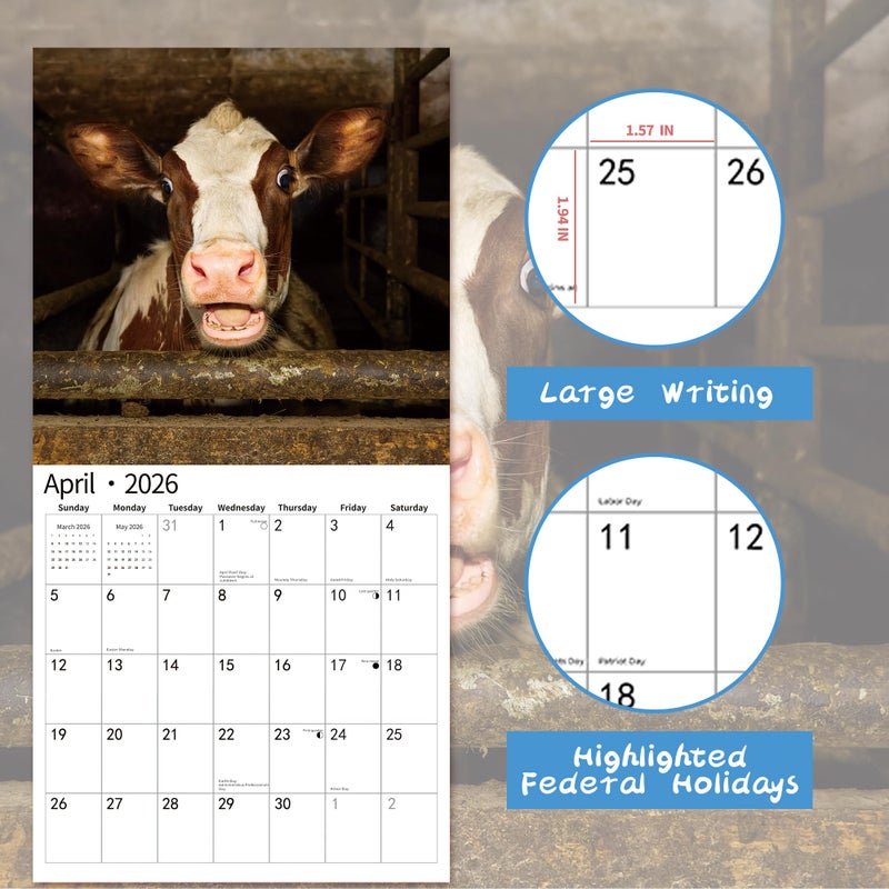 windrio 2026 Wall Calendar,Funny Calendar 2026, November 2025 - December 2026, Wall Calendar Funny Animal Memes, 12" x 24" Opened, Full Page 12 Months Thick Paper for Gift Calendar Organizing Planning - Image 3