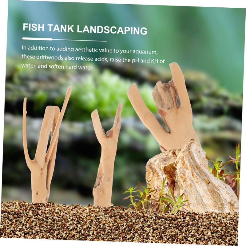 10Pcs Natural Driftwood for Aquariums Fish Tanks Reptile Habitats Assorted Sizes - Image 3