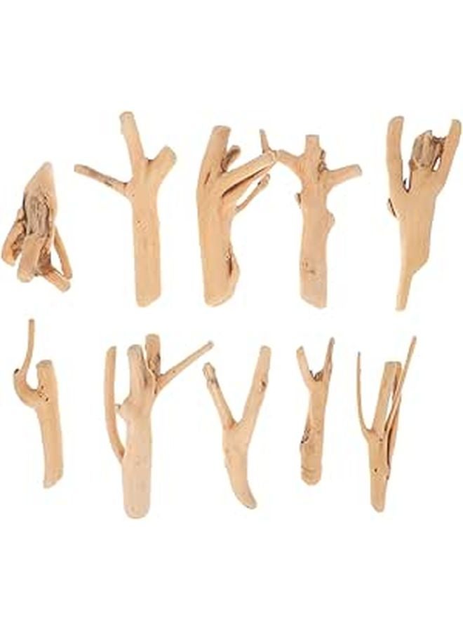 10Pcs Natural Driftwood for Aquariums Fish Tanks Reptile Habitats Assorted Sizes - Image 1