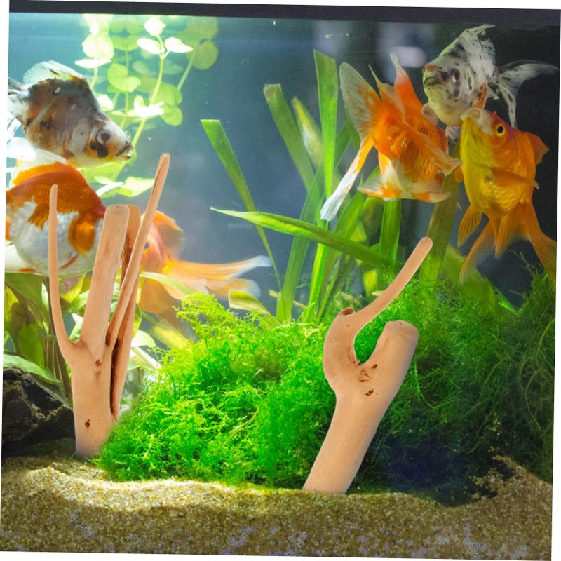 10Pcs Natural Driftwood for Aquariums Fish Tanks Reptile Habitats Assorted Sizes - Image 4