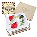 GOTHINK Flower Press Kit 6 Layers 6 x 6 Inches Easy to Use DIY Dried and Preserved Flowers and Leaves Plants Art Crafts Wooden Flower Pressing Kit for Adults and Kids - Image 3