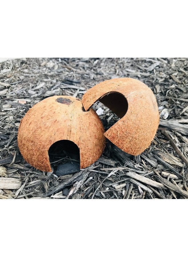 Generic Hexagrowth Coco Hut, Betta Fish cave, Shrimp Hideout, Pleco shelter, Coconut Shell for Hermits, Toad, 2 Packs - Image 3