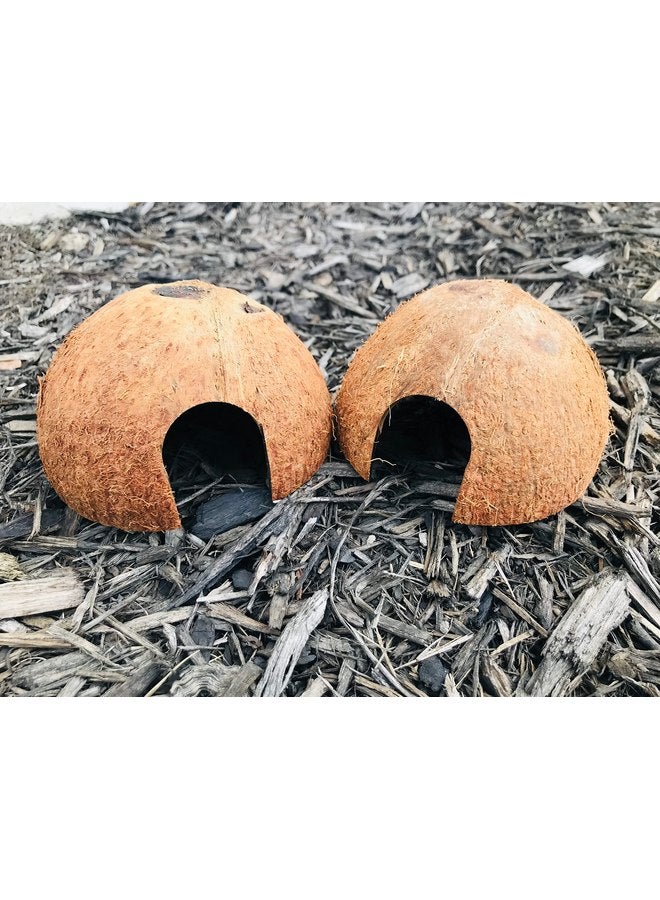 Generic Hexagrowth Coco Hut, Betta Fish cave, Shrimp Hideout, Pleco shelter, Coconut Shell for Hermits, Toad, 2 Packs - Image 2