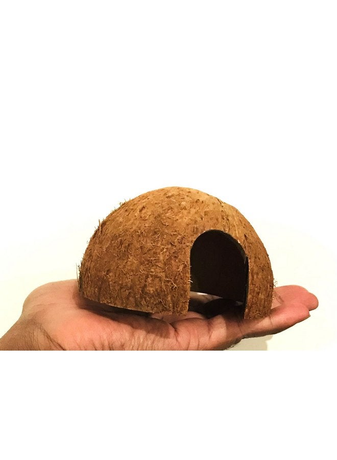 Generic Hexagrowth Coco Hut, Betta Fish cave, Shrimp Hideout, Pleco shelter, Coconut Shell for Hermits, Toad, 2 Packs - Image 4
