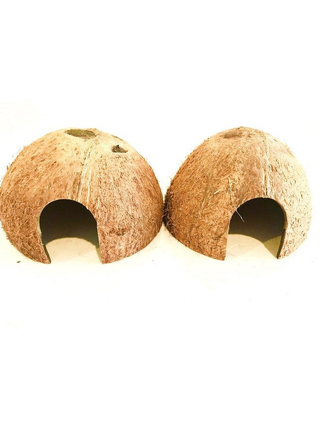 Generic Hexagrowth Coco Hut, Betta Fish cave, Shrimp Hideout, Pleco shelter, Coconut Shell for Hermits, Toad, 2 Packs - Image 1