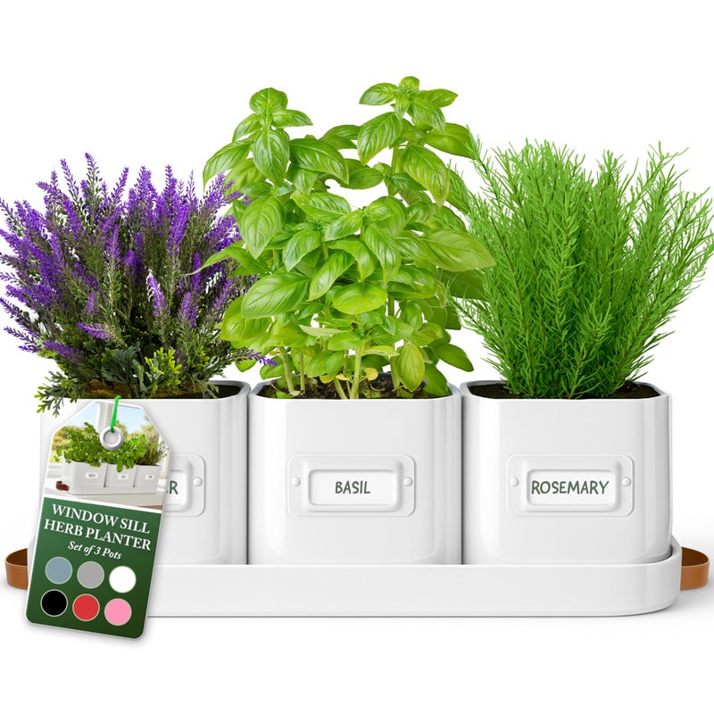 volila Herb Planter Indoor - Set of 3 Warmstone Indoor Herb Garden Pots for Plants with Leather Handled Tray - Window Sill Plant Shelf - Herb Pots with Drainage Holes and Labels - Image 1