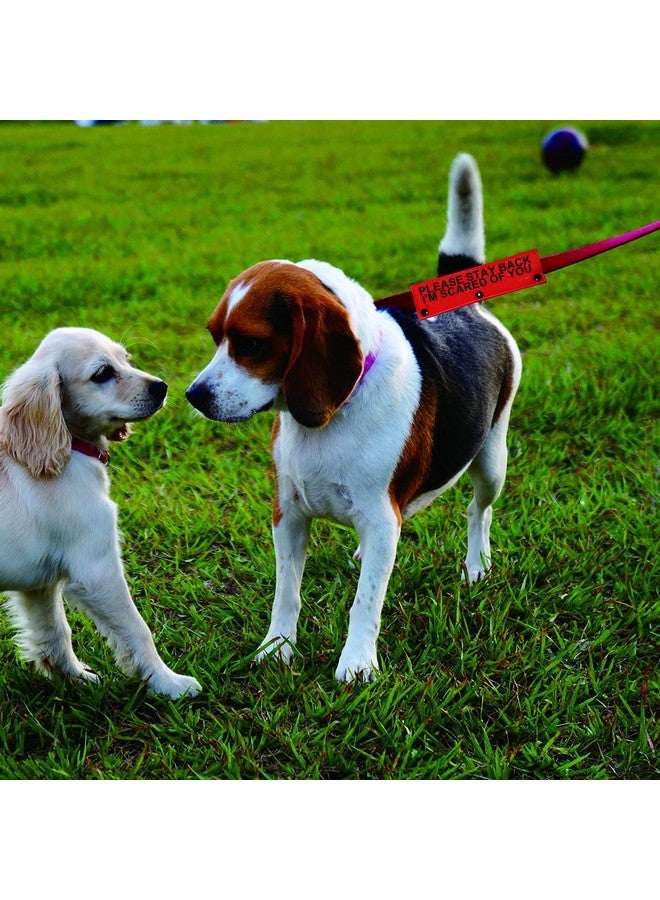 BLUPARK Funny Dog Leash Sleeve Please Stay Back I'm Scared of You Dog Leash Wrap Sleeve Pet Birthday Gift (I'm Scared of You-Sleeve) - Image 4