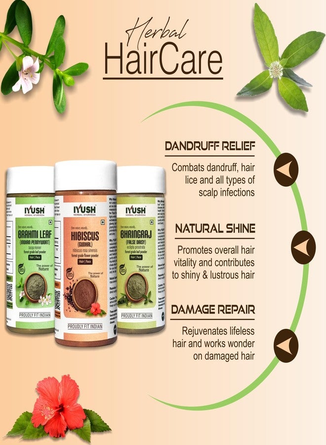 IYUSH Herbal Ayurveda Brahmi Bhringraj Hibiscus Powder - 750gm | Brahmi Powder, Bhringraj Powder, and Hibiscus Powder | Hair Volume Powder | Skin Care & Hair Care | (250gm each) - Image 2