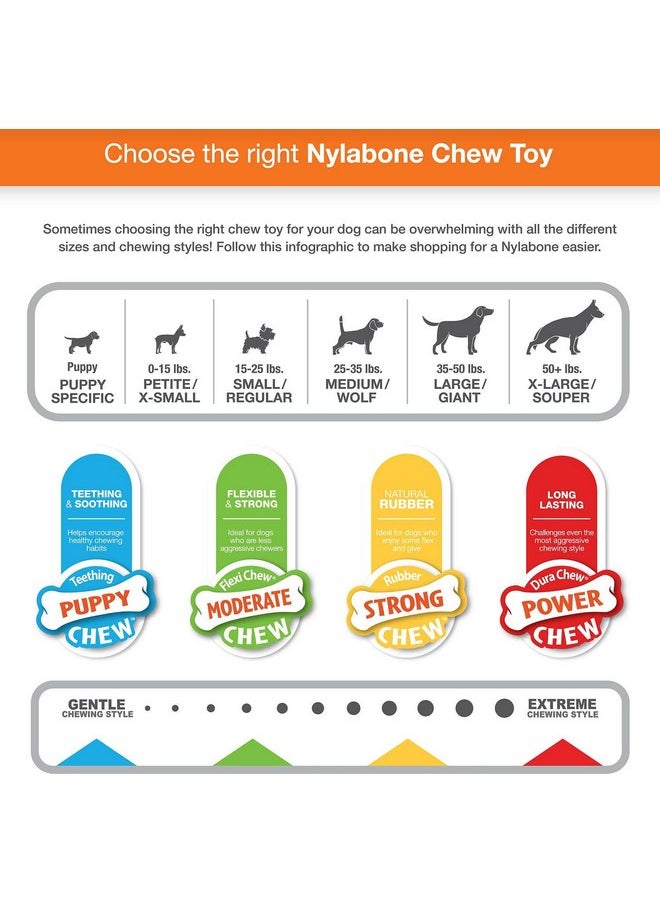 Nylabone - Tfh Fun N Fit Flex Oval Rng Md - Image 1
