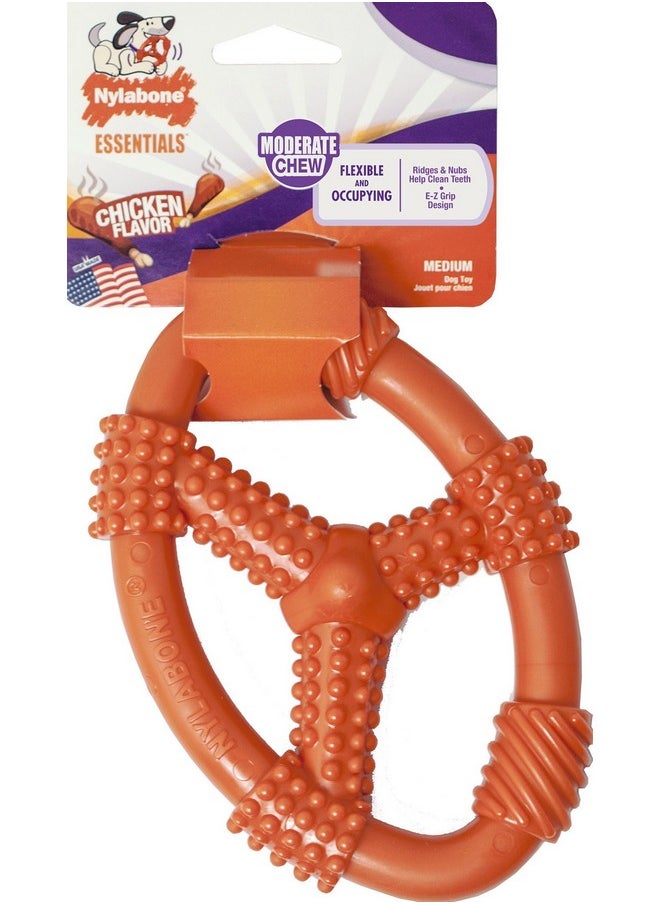 Nylabone - Tfh Fun N Fit Flex Oval Rng Md - Image 1