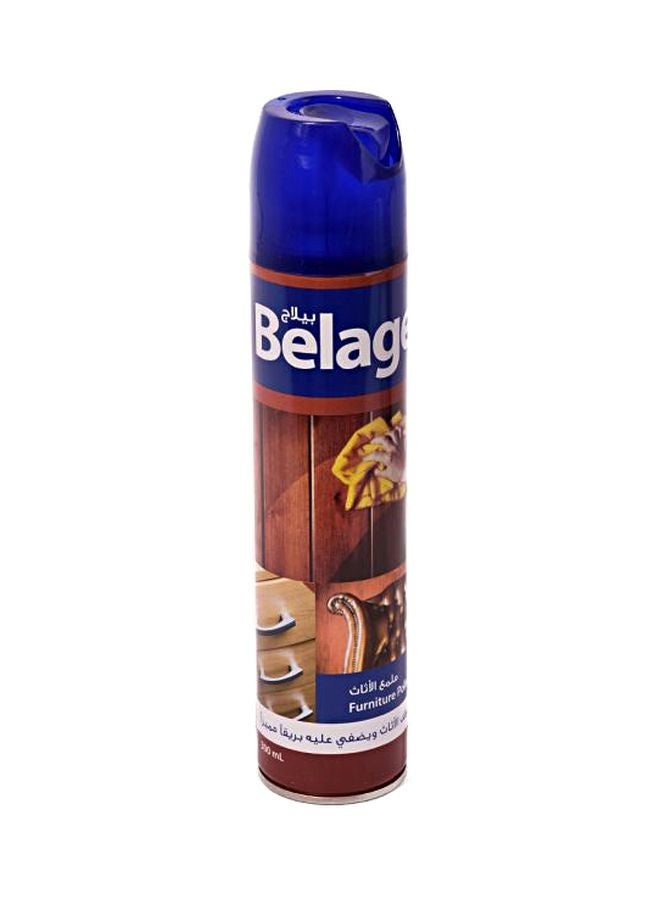 Furniture Polish Clear 300 ML