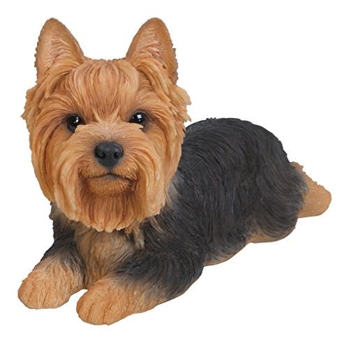 Hi-Line Gift Ltd Yorkshire Terrier Resin Dog Lying Down Statue - Image 5