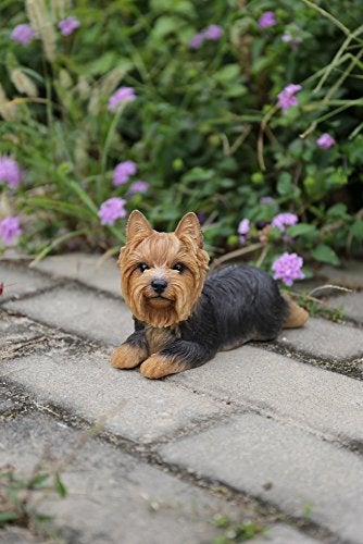 Hi-Line Gift Ltd Yorkshire Terrier Resin Dog Lying Down Statue - Image 2