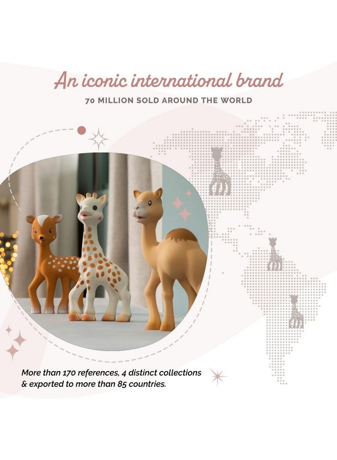 صوفي لا جيراف صوفي الزرافة فانفان ذا فاون | عضاضة صديقة صوفي الزرافة | مطاط طبيعي | مصممة للأطفال في مرحلة التسنين | تُنبه الحواس الخمس | سهلة التنظيف - Image 3