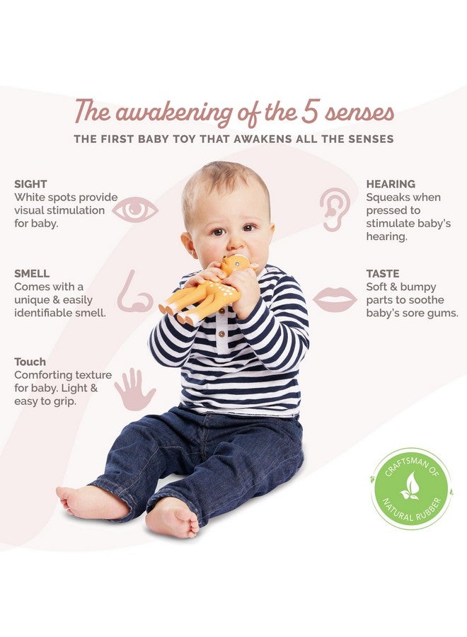 صوفي لا جيراف صوفي الزرافة فانفان ذا فاون | عضاضة صديقة صوفي الزرافة | مطاط طبيعي | مصممة للأطفال في مرحلة التسنين | تُنبه الحواس الخمس | سهلة التنظيف - Image 2