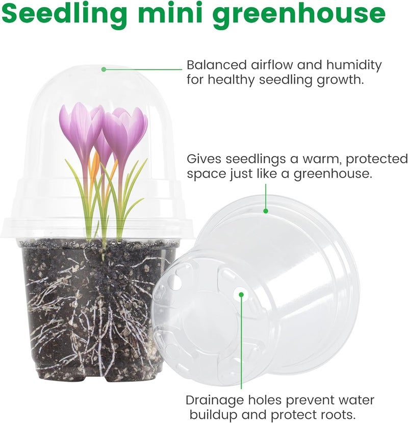 Bluepro 36 Packs 5/4/3.5 Inch Clear Nursery Pots with Humidity Domes, Transparent Plant Pots with Drainage Holes, Variety Pack Seed Starting Pots for Succulents, Flowers and Cactus - Image 3
