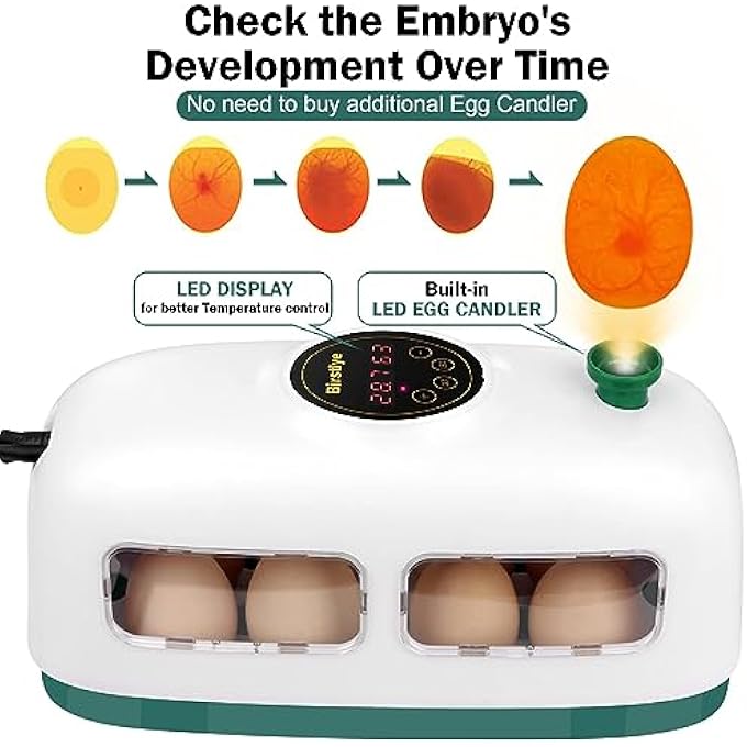 rayihni Mini Egg Incubator For 8 Eggs With Humidity And Temperature Control For Hatching Chicks Quail Duck Goose And Bird Eggs - Image 3
