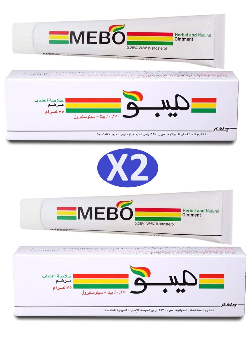 Julphar Mebo Ointment for Burns and Wounds, Skin ULCers 75 GM ( 2 Pack ) - Image 1