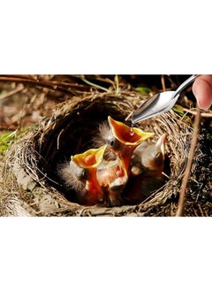 Aikanbo Baby Bird Feeding Syringe Bird Feeder Feeder Syringe 20 ML Animal Syringe with 1 Bird Spoon  - Image 5