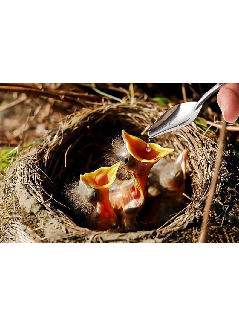 ايكانبو حقنة تغذية الطيور للأطفال حقنة تغذية الطيور 20 مللي حقنة حيوانات مع 1 ملعقة طائر - Image 5