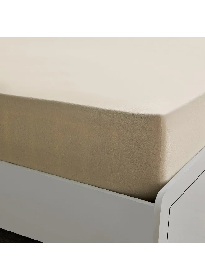 Home Box Essential Cotton Olympic Queen Fitted Sheet - 160X200+36 Cm