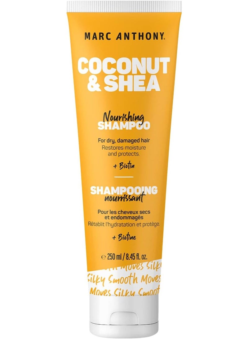 MARC ANTHONY شامبو جوز الهند والشيا المغذي، 250 مل