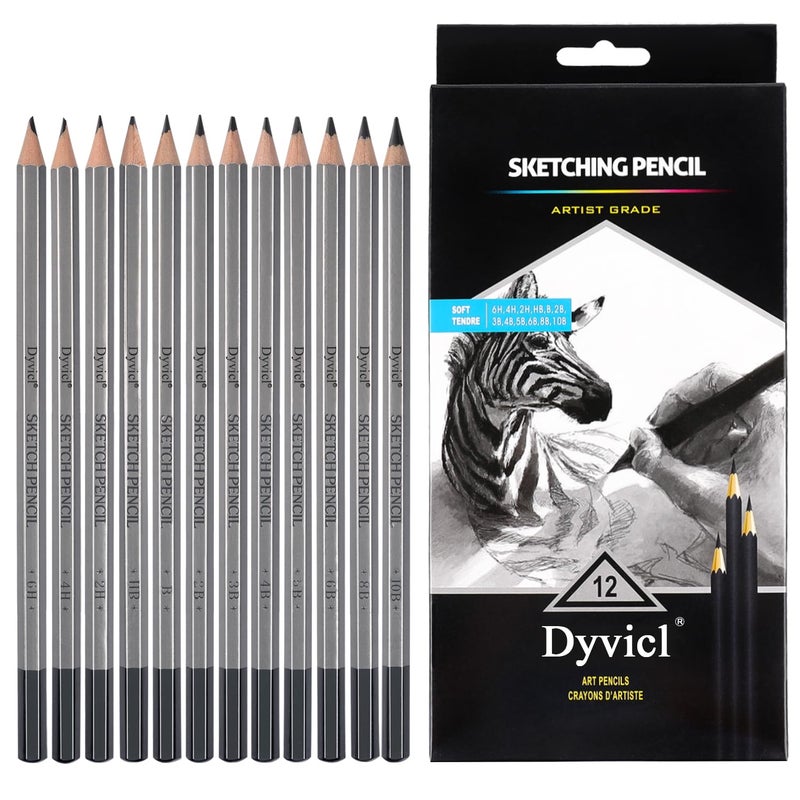Dyvicl Professional Drawing Sketching Pencil Set 12 Pieces Drawing Pencils 10B 8B 6B 5B 4B 3B 2B B HB 2H 4H 6H Graphite Pencils for Kids Beginners Pro Artists