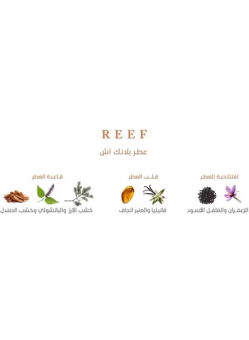 ريف عطر بلانك آش بارد، عنبر، زهري ناعم / 150 مل - Image 2
