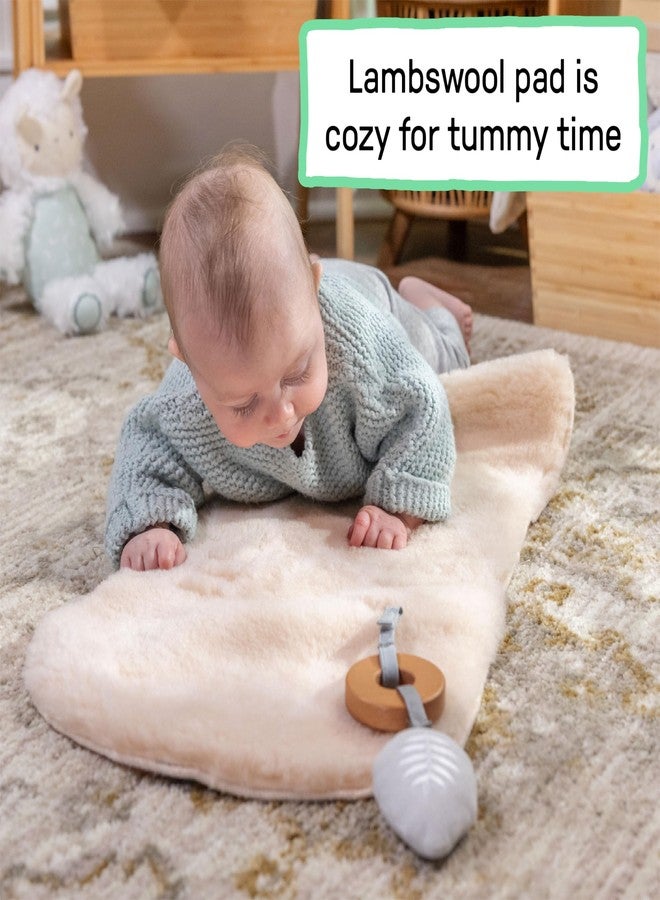 Ingenuity Every Season Plush Lambswool Replacement Mat - Compatible with All Other Ingenuity Lambswool Products, Reversible, Natural Lambswool Mat - Image 3