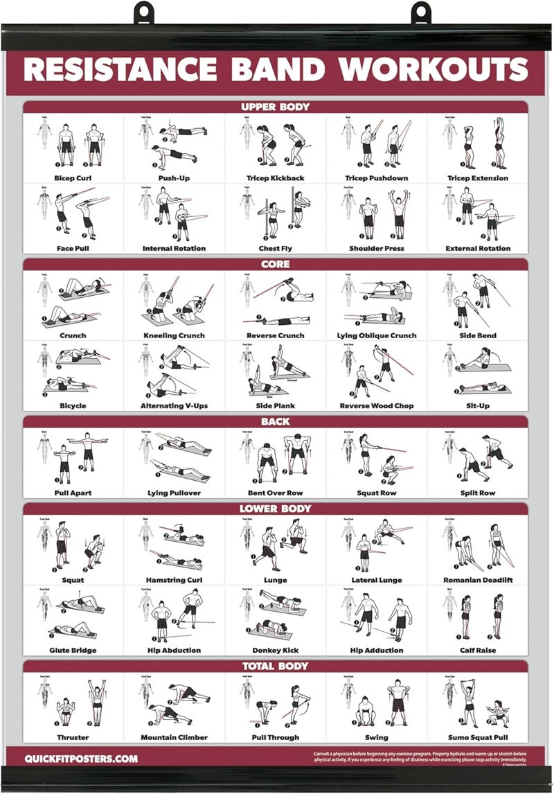 Palace Learning QUICKFIT Resistance Bands Workout Exercise Poster - Double Sided (Laminated with Plastic Frame, 18" x 24") - Image 1