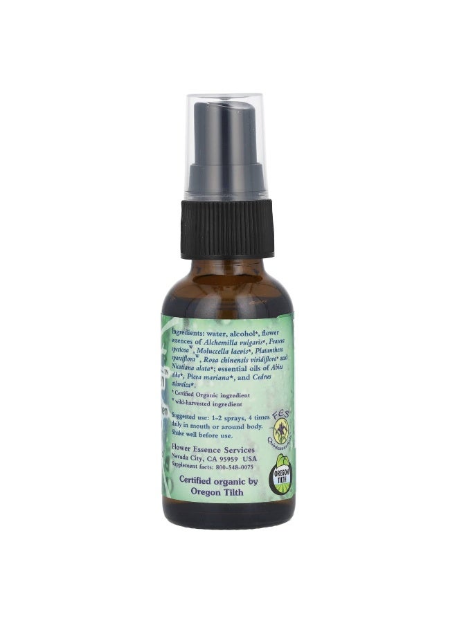 Flower Essence Services, Flower Essence & Essential Oil, Grounding Green, 1 fl oz (30 ml) (Packaging may vary) - Image 2