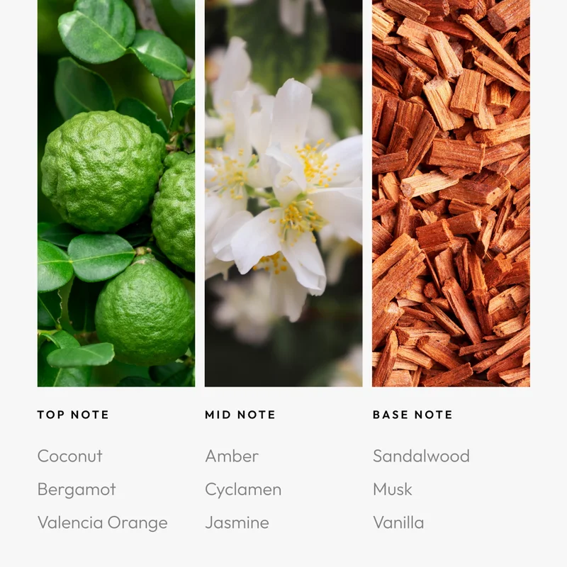 Aroma360  Green Pro-Pod Oil Blend - Hotel Inspired for Luxury Essential Oil Diffusers - Aromatherapy Scent Diffuser Oil - Valencia Orange, Cyclameh, Musk and Vanilla - 50 mL, 1.7 fl oz  | Best Price UAE