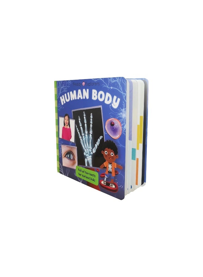 Priddy Explorers Human Body  - Image 4