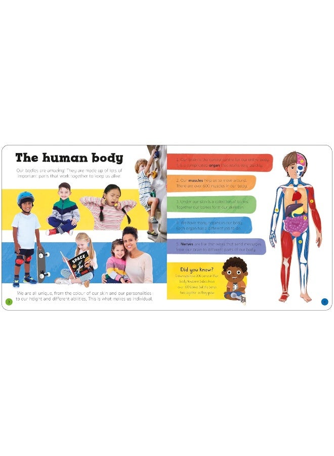 Priddy Explorers Human Body  - Image 2