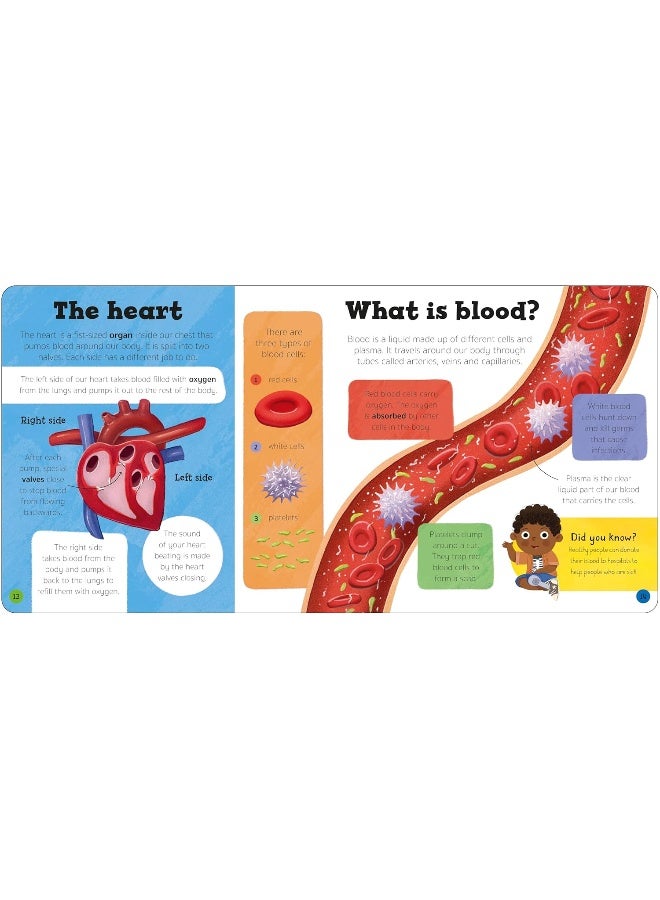 Priddy Explorers Human Body  - Image 3