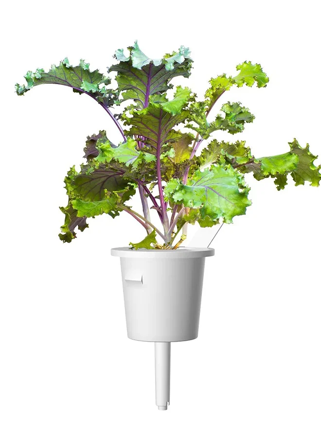 Click & Grow كليك آند جرو ريد كالي سمارت جاردن ريفيل