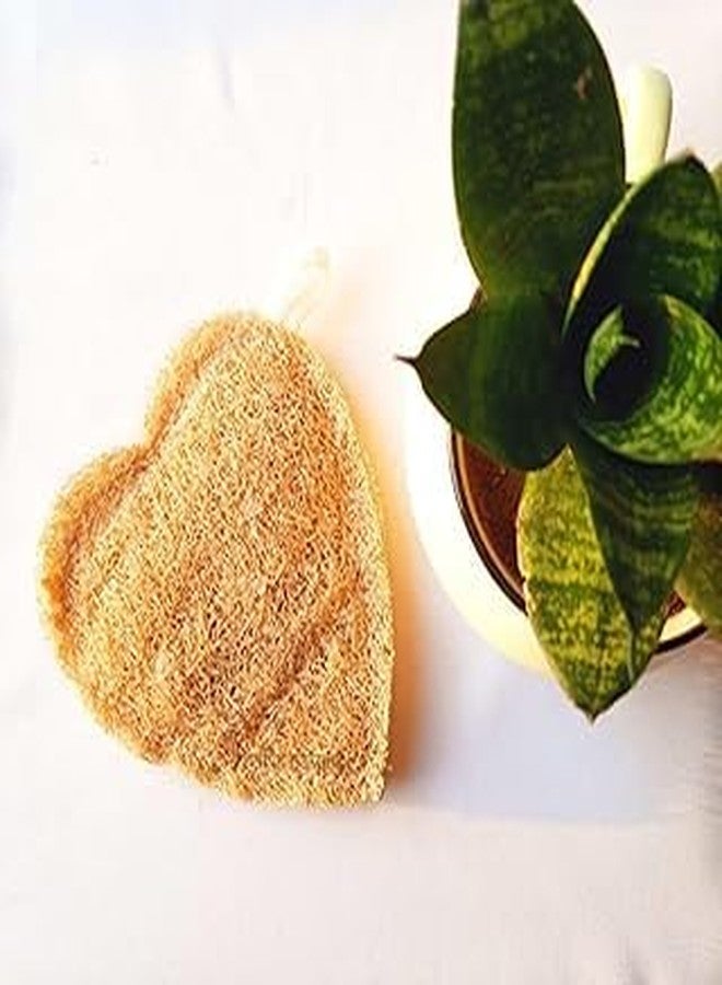 Heart-Shaped Natural Loofah for Bathing – Pack of 2 Eco-Friendly & 100% Biodegradable | Easy-to-Carry with Handle | Perfect Scrub for Soft, Healthy Skin - Image 2
