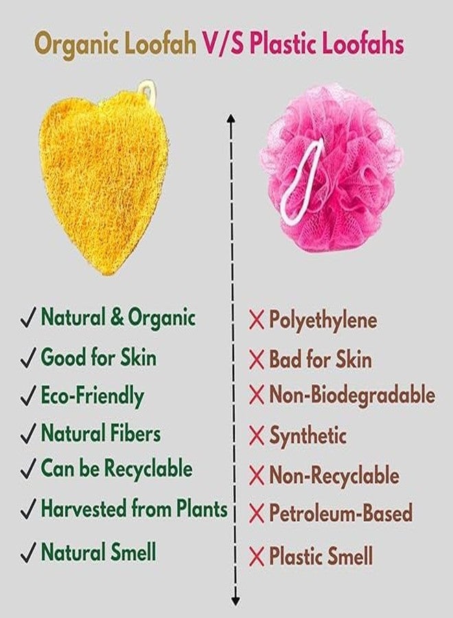 Heart-Shaped Natural Loofah for Bathing – Pack of 2 Eco-Friendly & 100% Biodegradable | Easy-to-Carry with Handle | Perfect Scrub for Soft, Healthy Skin - Image 5