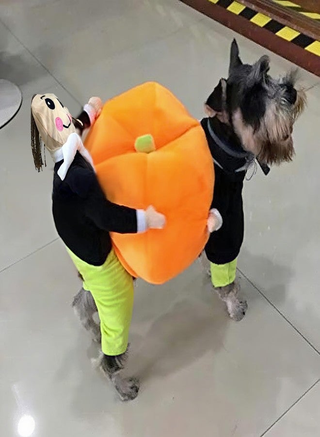 BlueSpace Pet Costume Dog Cat Pumpkin Pets Suit Halloween Costumes Pets Clothing for Small Dogs and Cats, Perfect for Halloween Christmas and Theme Party, M - Image 3