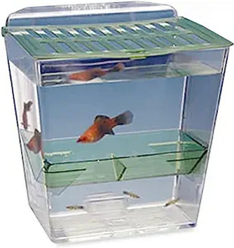 Penn Plax Penn-Plax Breed and Show Nursery Fish Tank - Image 1